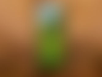 The Valley of Trouble Becomes the Door of Hope