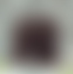 The Road Less Taken: Choosing the Path That Leads to Life