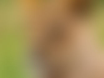 Out of the Eater Came Something to Eat