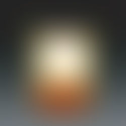 Heeding Wise Instruction