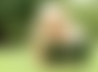 Bold Wisdom in the Face of Chaos