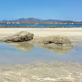 Tamarindo.jpeg