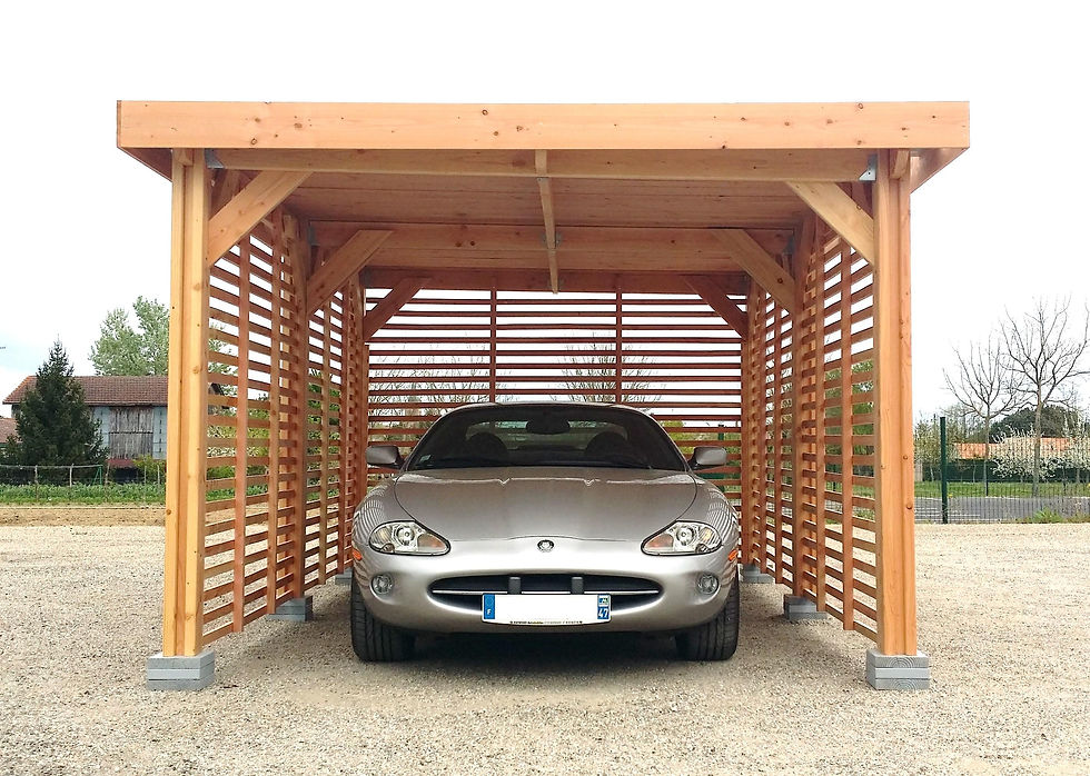 ++++VTP 6P 10.jpg