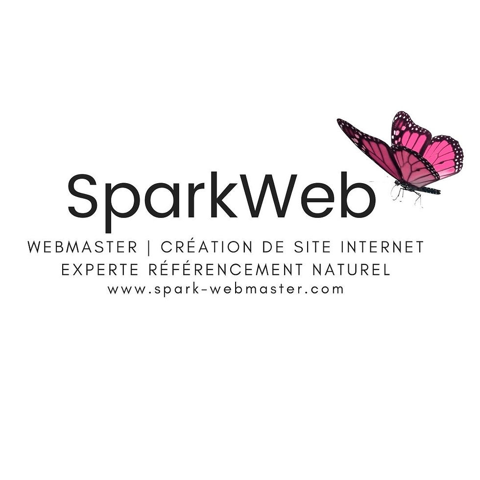 Logo Agence Wix Sparkweb