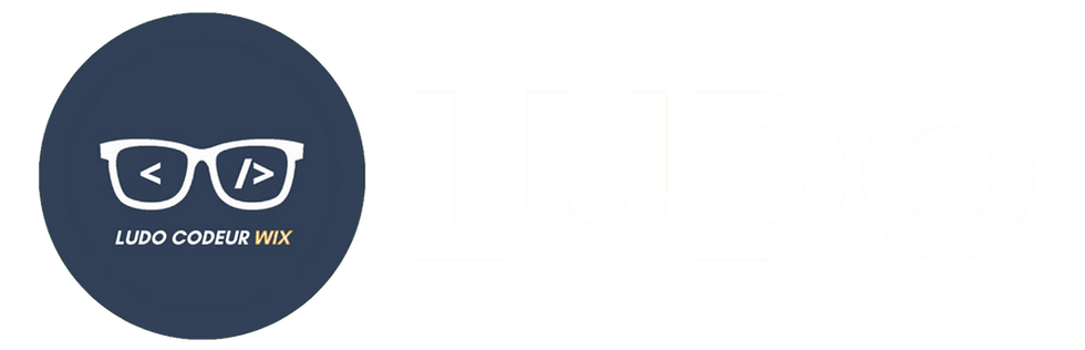 Ludo codeur Wix logo
