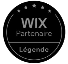 Ludo Codeur expertWix France