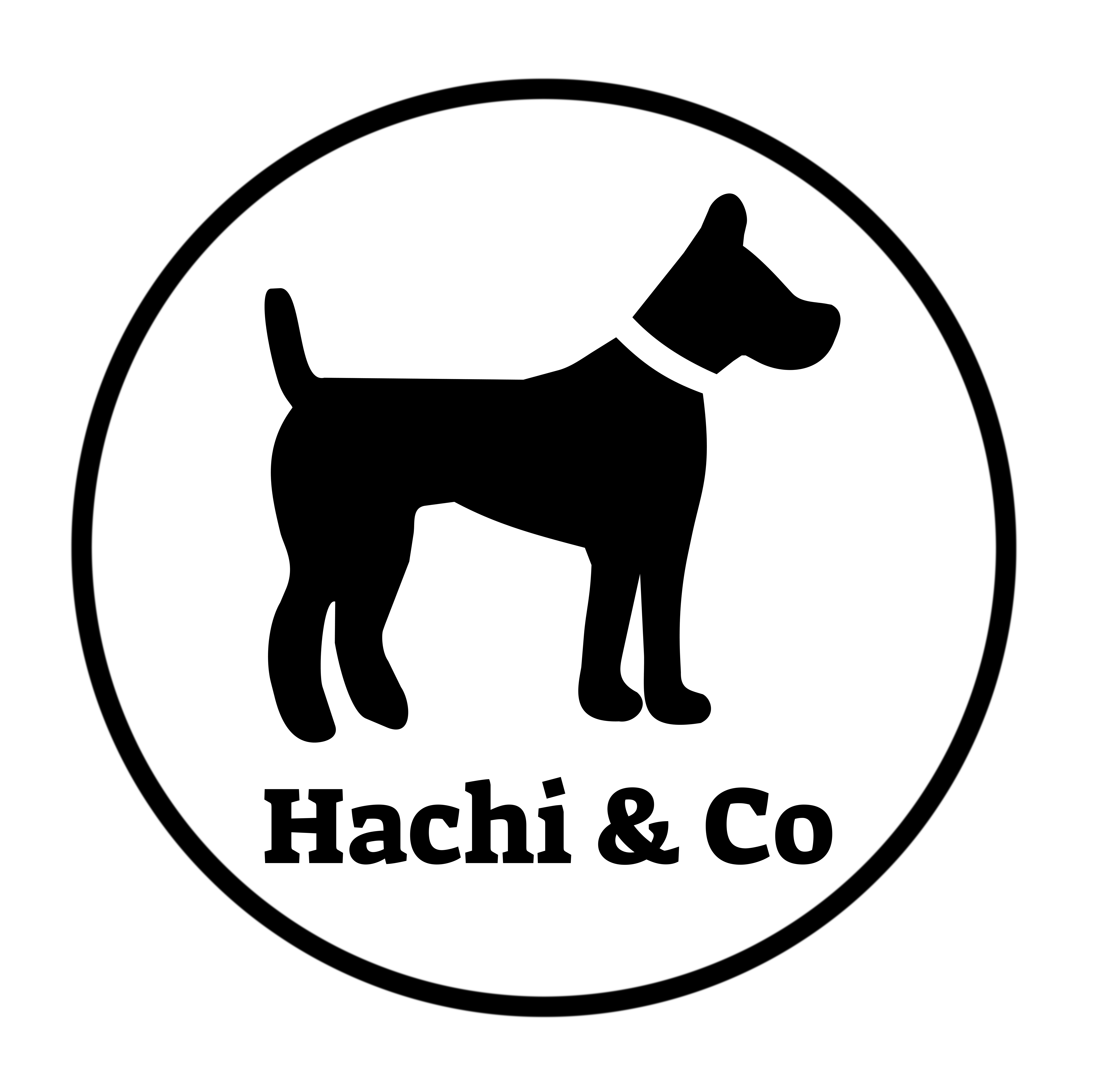 Hachi pet shop online