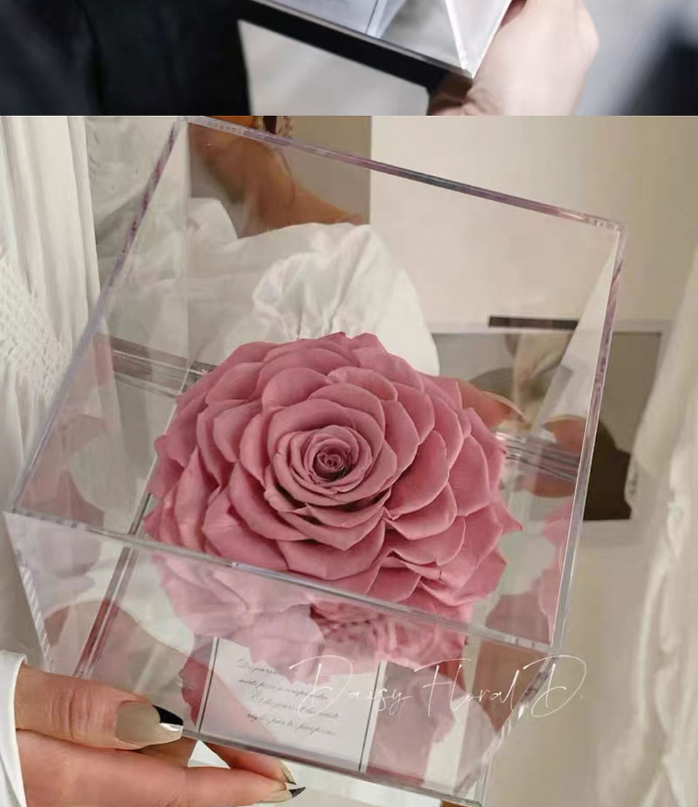 Thumbnail: Sugarplum Single Preserved Rose