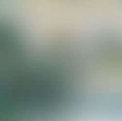 西村俊郎の制作現場