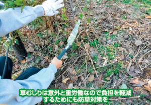 【雑草対策】 雑草を生やさないための6つの対策！