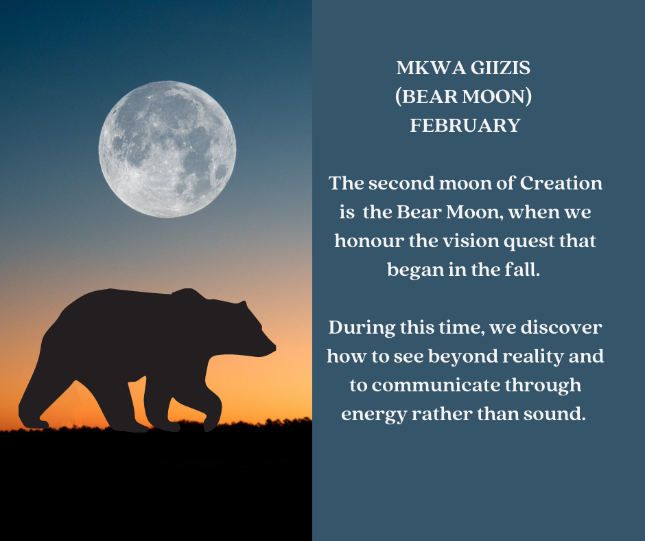 Bear Moon - Mikwa Giizis