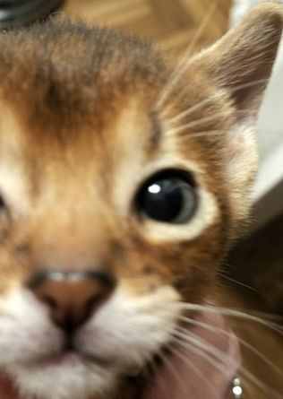 Upclose.jpg
