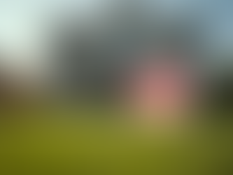 Why Now is the Perfect Time to Buy a Home with Increased Leverage and Options