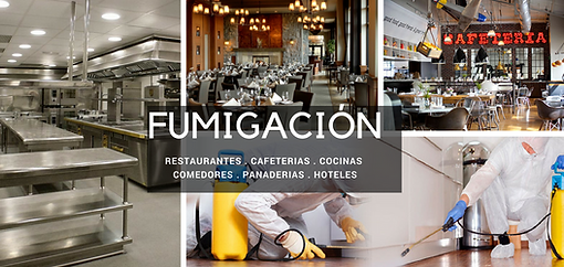 restaurantes FLASHCOM.png