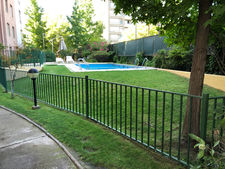 IMG_1251.jpeg