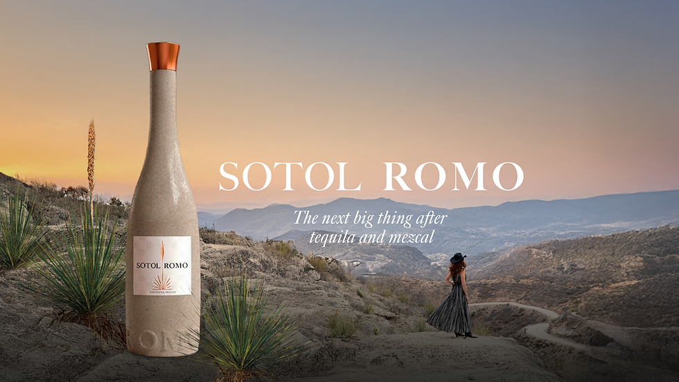 Photo: Courtesy of SOTOL ROMO