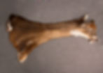 Stretch Length