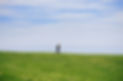 Little Boy Walking