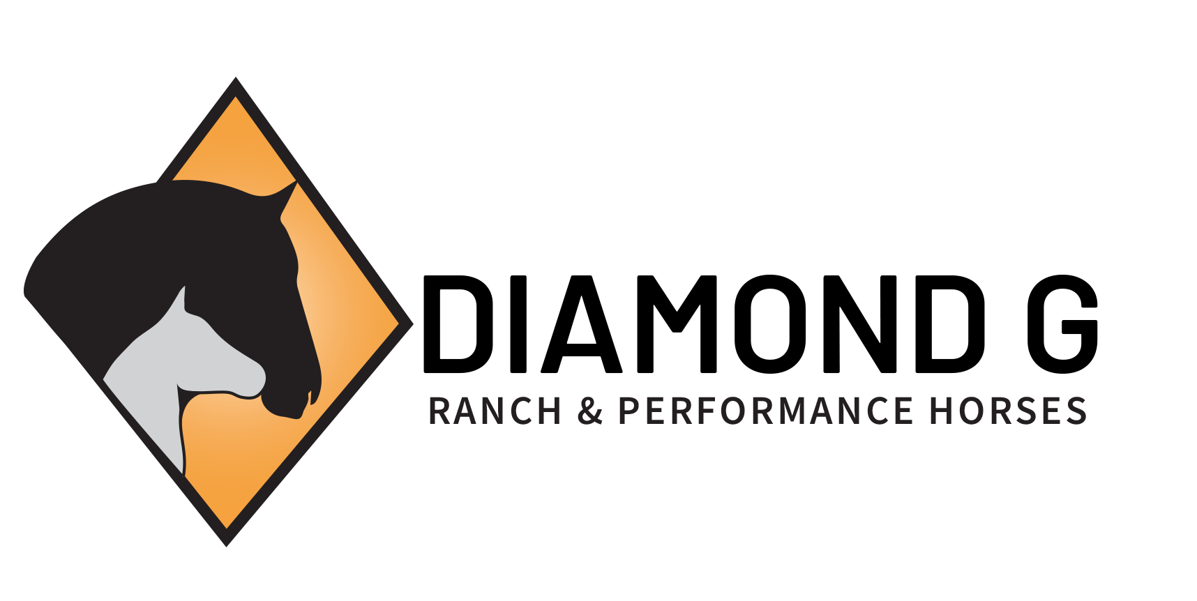 Sale Horses Diamond G Horses