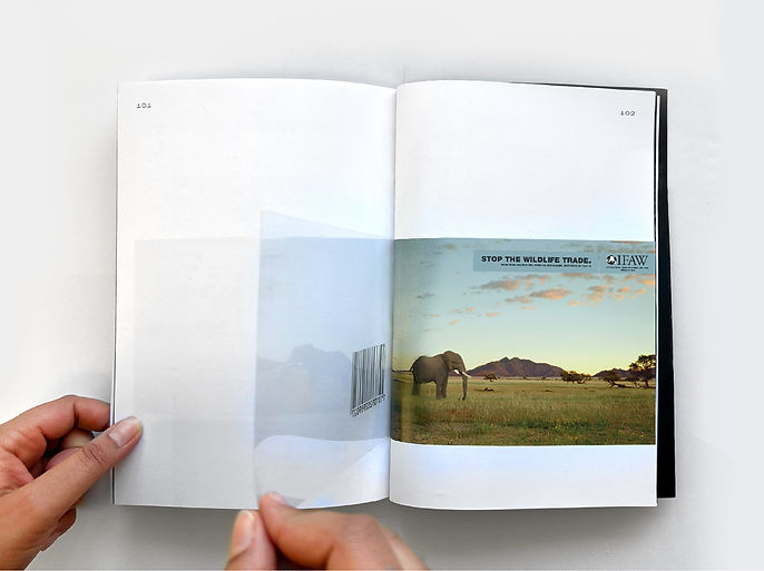 Catalog spread with transparent sheet