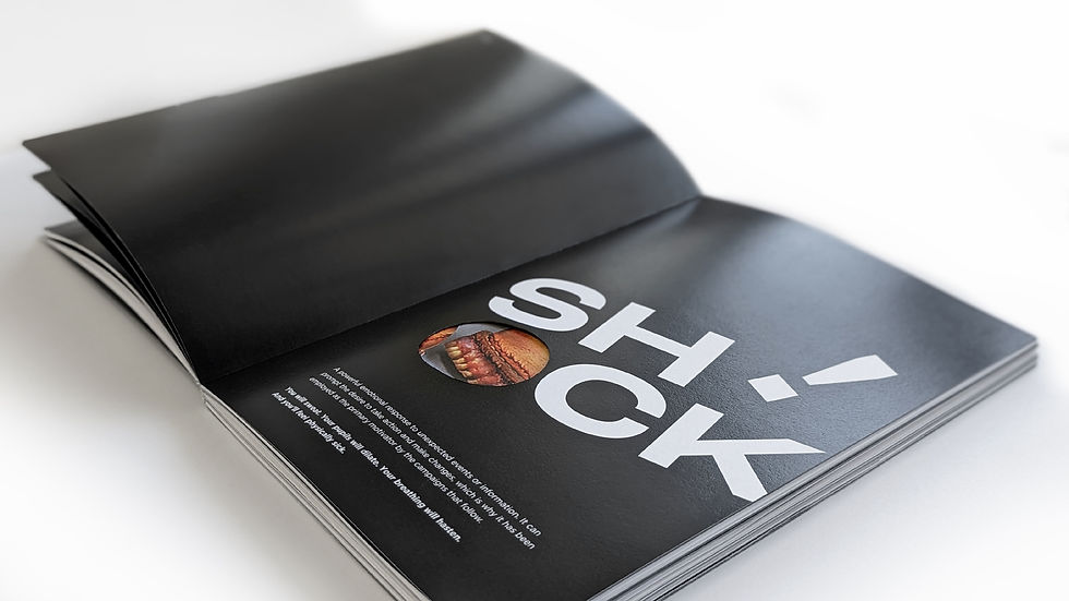 Exhibition catalog spread