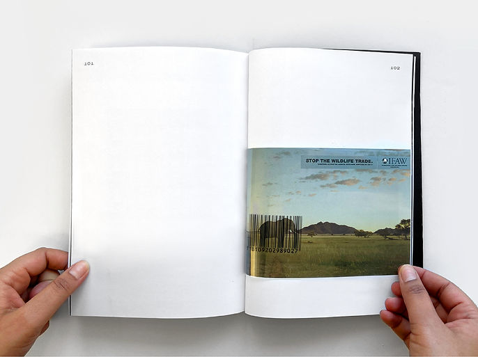 Catalog spread with transparent sheet