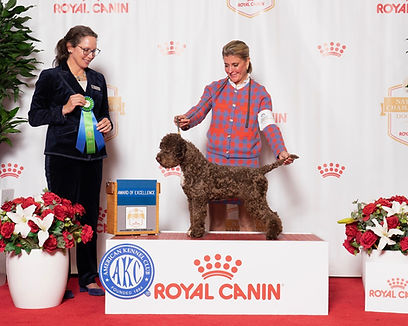 sapphire award of excellence.jpg