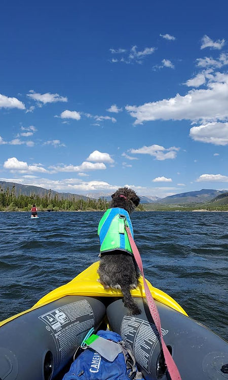 SadieKayak.jpg