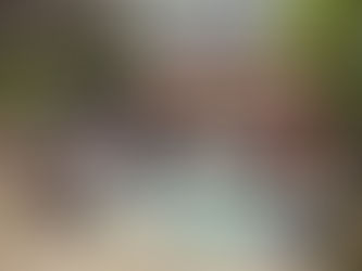 跨14縣市推動USR計畫,榮獲國際永續大學殊榮展現卓越社會責任