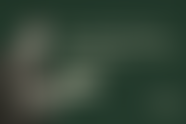 Suit Industry Guide: How to Design Offers That Drive More Appointments (STITCH Framework)