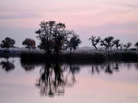 Pink Sky Swamp Water Reflection