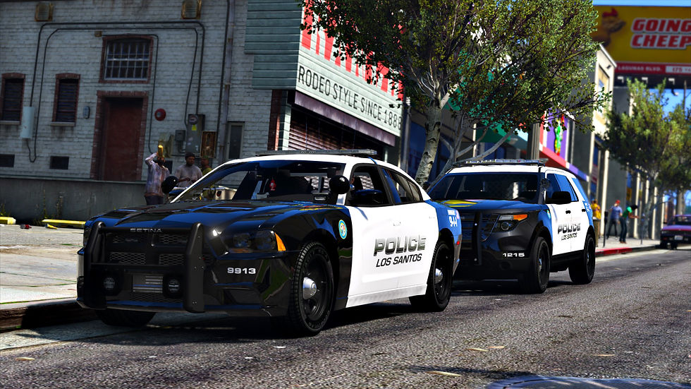 5716d8a5855de_LSPD3.jpg