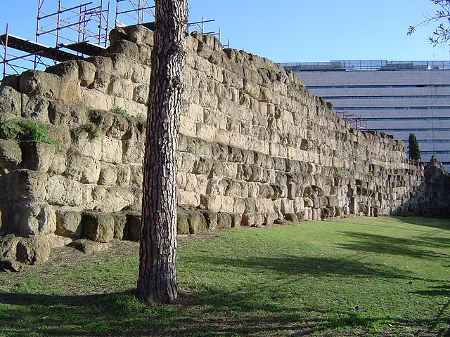 Ancient stone wall with scaffolding, tall tree on grass, modern building in background. Clear blue sky, serene atmosphere.
