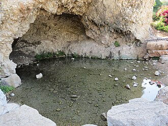 Rocky cave opening over a shallow greenish pond with scattered stones and a few flowers in the background