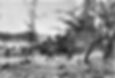 Cuban Revolutionary Armed Forces counterattack near Playa Giron during the Bay of Pigs.