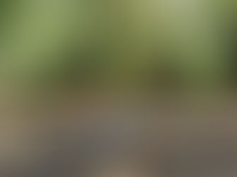 How Can I Help My Child With Autism?