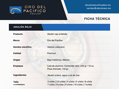Ficha abulón en lata