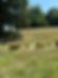 963b1464-d977-405c-986c-5459b3a9ad23.jpeg