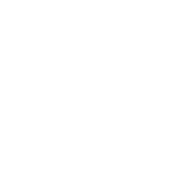 Livraison De Sapin De Noel A Domicile Sapinchezsoi