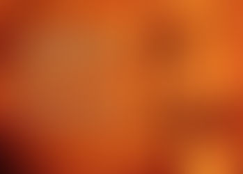 Homo incurvatus in se