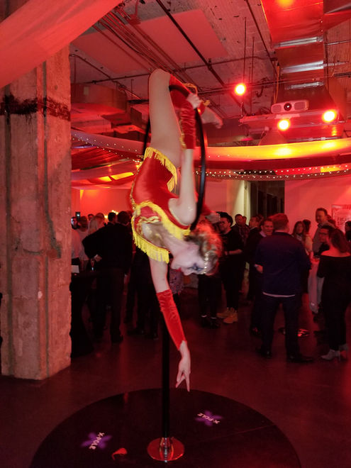 An awe-inspiring aerial show choreographed with romantic flair, featuring breathtaking acrobatics and graceful maneuvers, elevating the Valentine's Day party atmosphere to new heights of enchantment and excitement.