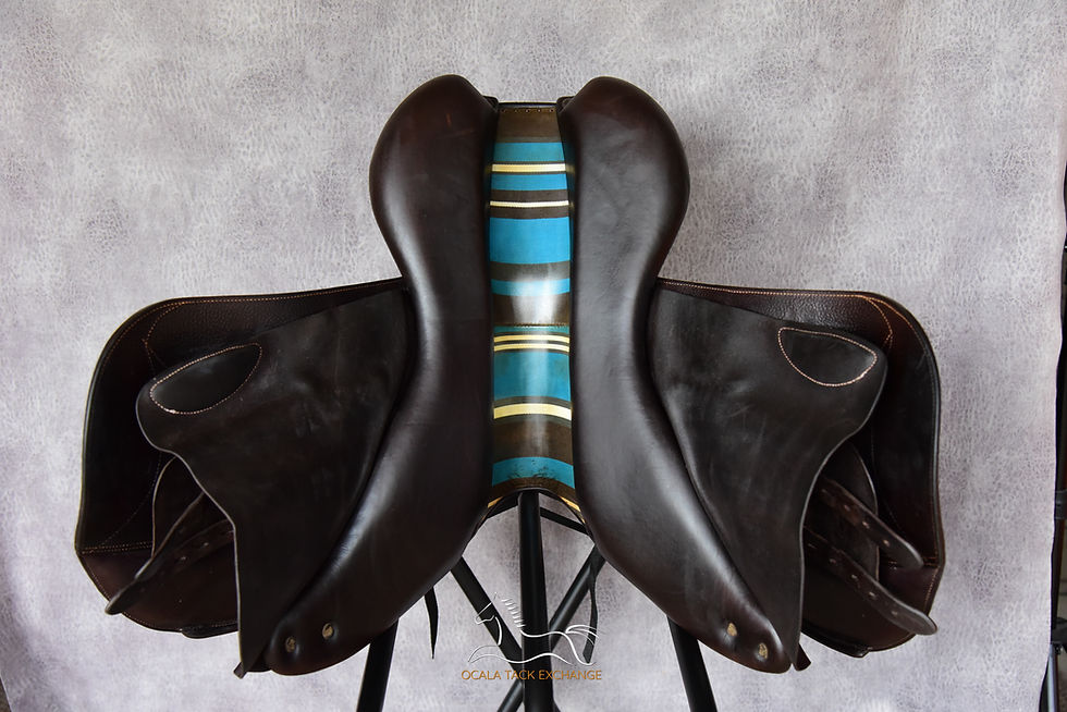 Thumbnail: Voltaire Palm Beach 17.5" | 2A | 2021