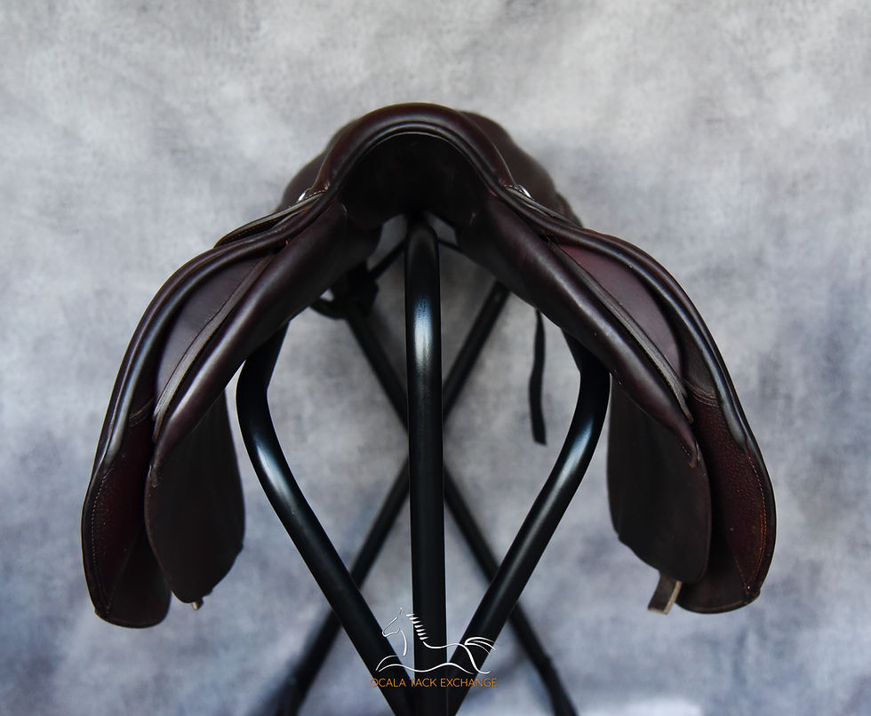 Thumbnail: CWD SEO1 | 16" | 1L | 2024