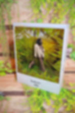 rastaman 1_edited