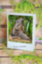 un jour en australie 2_edited