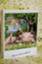 copains comme cochon 1_edited