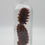 Thumbnail: Spruce Cones in a Bottle 24020
