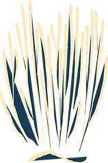 Asset 11.png