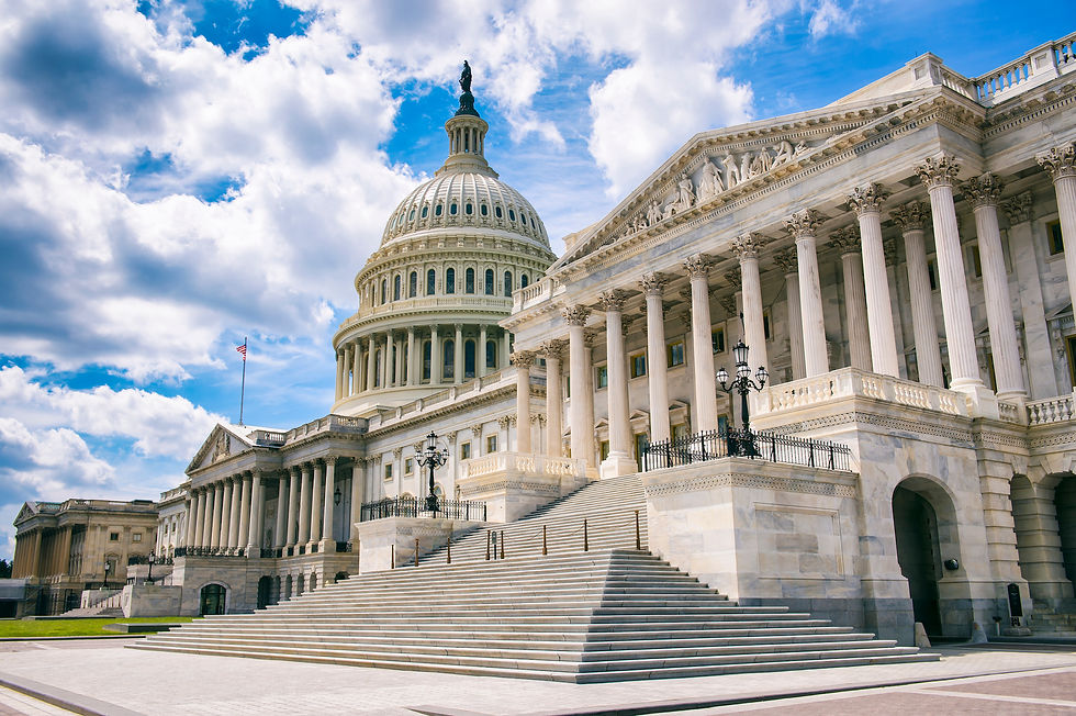 An insight into President Trumps term in office 2016- 2019, through the eyes of James Carr-Smith - UK miltary attache