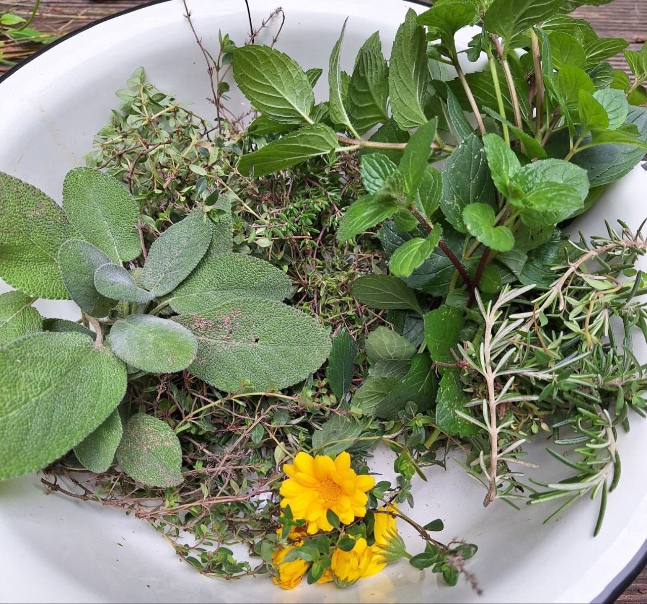 Brust- & Erkältungsbalsam